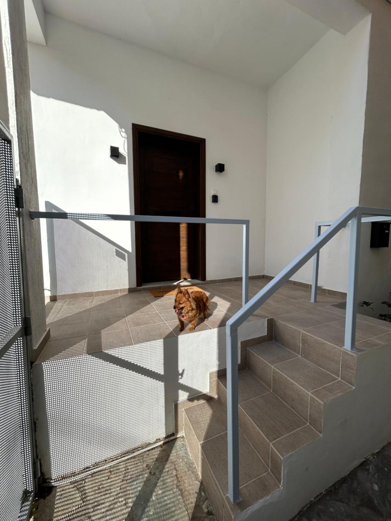 Apartamento Stella'S Petite Boite Rafína Exterior foto